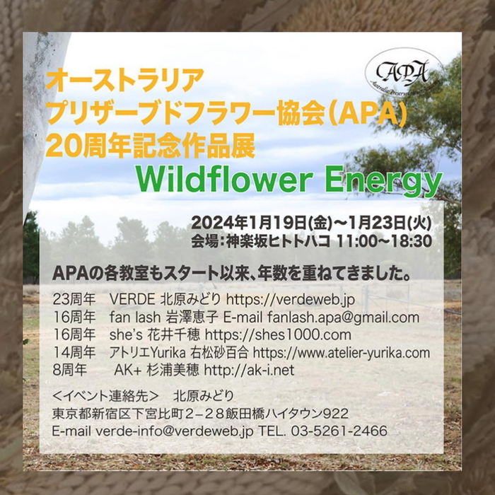 画像1135