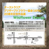 画像1137