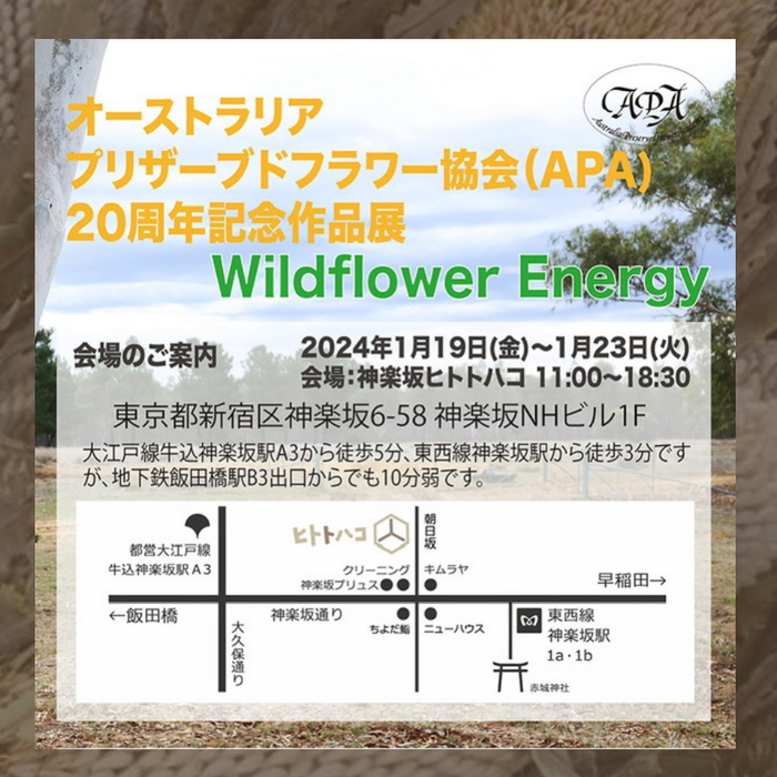 画像1143