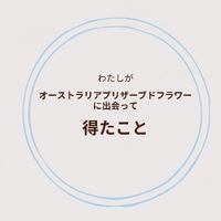 画像1311