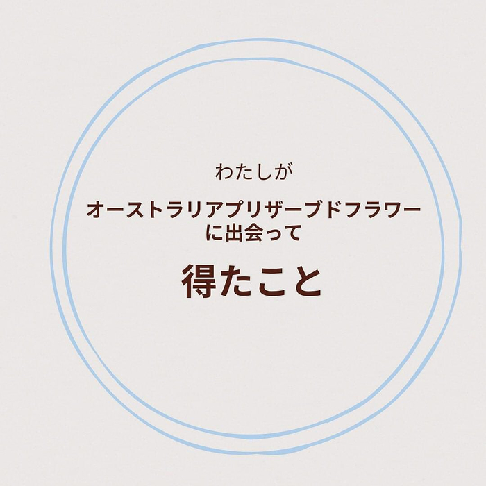 画像1311