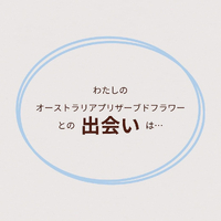 画像1314