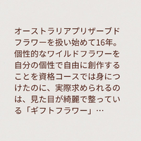 画像1511