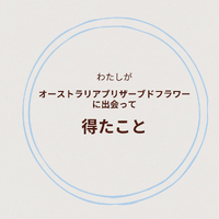 画像1525