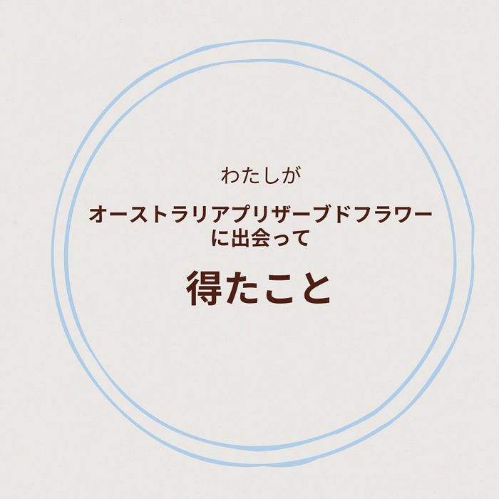 画像1525