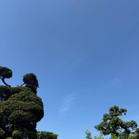 画像1760
