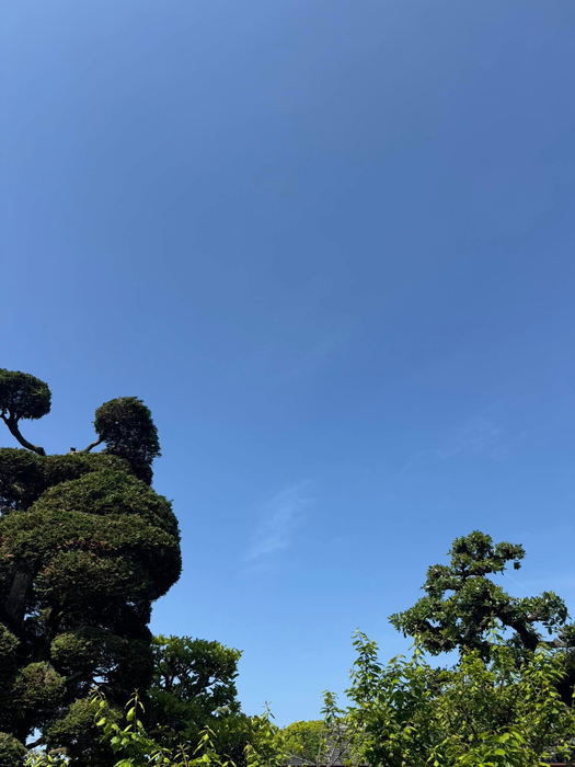 画像1760