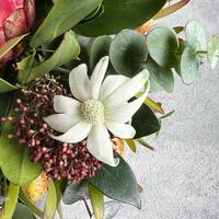 画像290