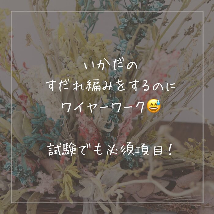 画像384