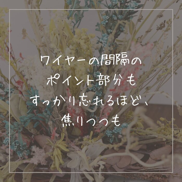 画像386
