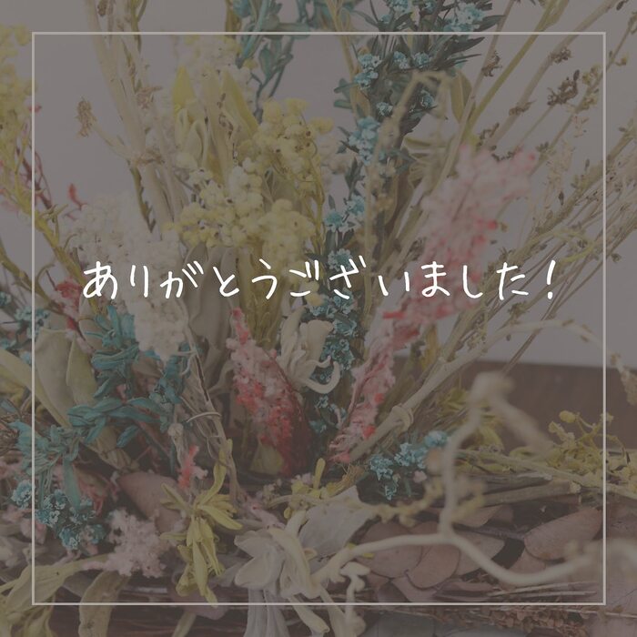 画像388
