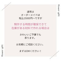 画像491