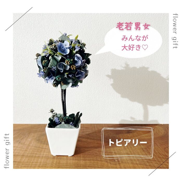 画像494