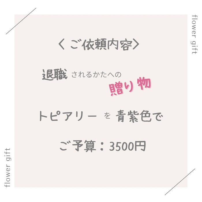 画像496