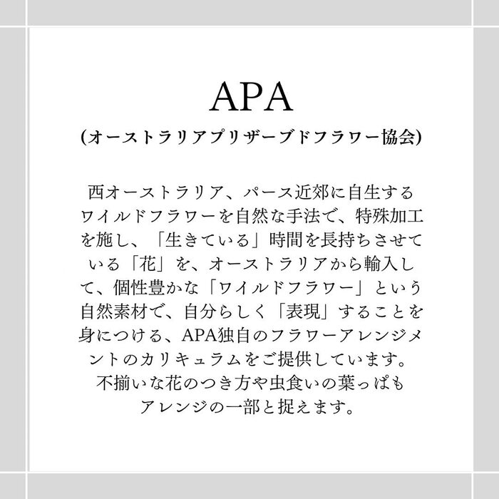 画像510