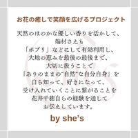 画像511