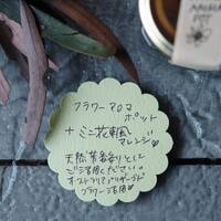 画像523