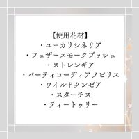 画像558