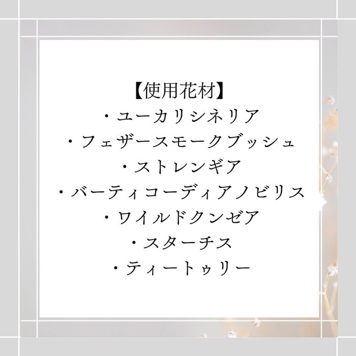 画像558