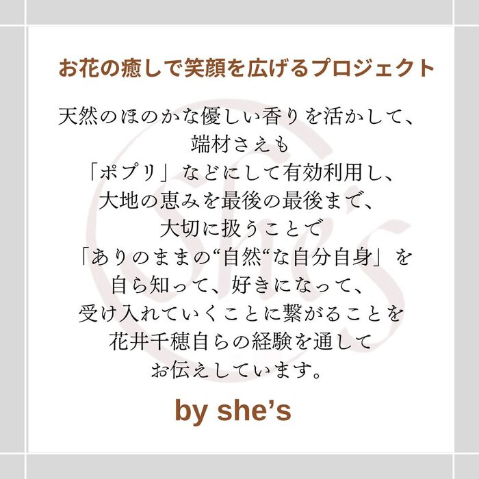 画像559