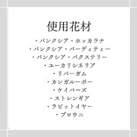 画像588