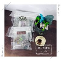 画像596