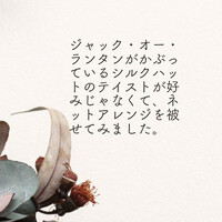 画像731