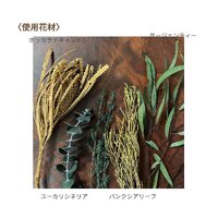 画像828