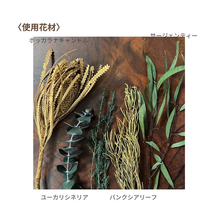 画像828
