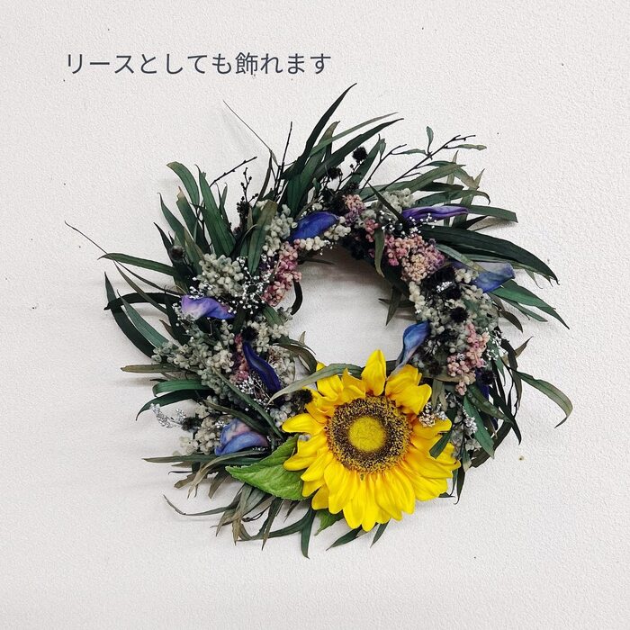 画像897